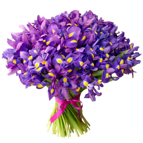 Монобукет ирисов «Лавандовый Вальс»