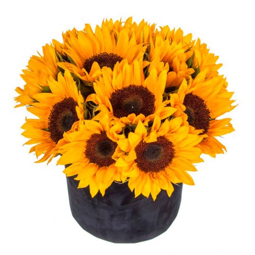 Монобукет подсолнухов «Солнечный»